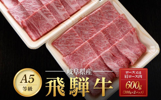 飛騨牛Ａ5 焼肉用 600g（300g×2パック）ロース 又は 肩ロース 肉 ｜国産 肉 牛肉 焼肉 和牛 黒毛和牛 グルメ A5等級 おすすめ AD116【飛騨牛 和牛ブランド 飛騨牛 黒毛和牛 飛騨牛 岐阜 大野町 飛騨牛】