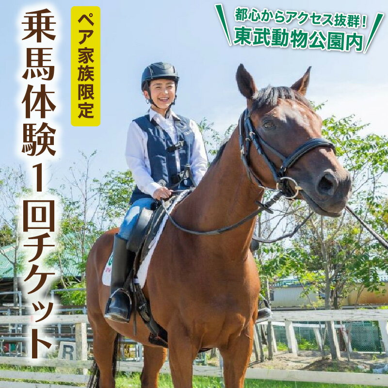 【ふるさと納税】乗馬体験1回コース 2名様分 所要約90分 騎乗30分 埼玉県白岡市 | 東武動物公園 初心者 マンツーマン ペアチケット 招待券 完全予約制 装具レンタル 保険料込み 有効期限1年 無料送迎 屋根付き馬場 日帰りレジャー 関東近郊