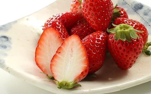 【先行予約／数量限定】京都丹後産 完熟いちご（かおりの） 4パック（2026年3月中旬～発送）