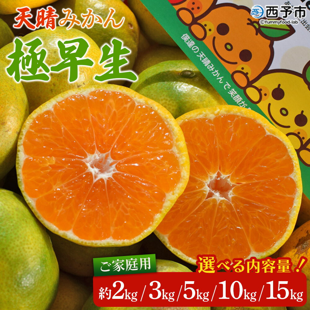 【ふるさと納税】＜天晴みかん 極早生 ご家庭用 約2kg／3kg／5kg／10kg／15kg＞ 柑橘 果物 フルーツ 期間限定 季節限定 食べて応援 特産品 温州みかん 家庭用 自宅用 のし対応 ジャム サラダ 株式会社笑丸 愛媛県 西予市【常温】『2025年9月下旬～10月中旬迄に順次出荷予定』