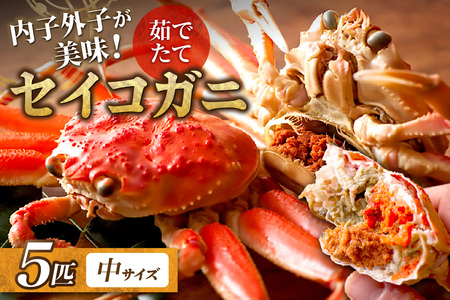 【蟹の匠 魚政】内子外子が美味! 茹でたて セイコガニ（セコ蟹）（香箱ガニ）（こっぺ）中サイズ 5匹セット　ボイル蟹・香箱蟹・セイコ蟹・セコガニ