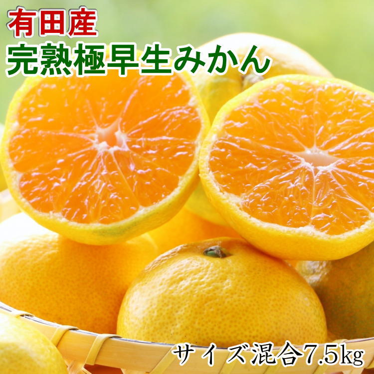 【ふるさと納税】【厳選】紀州有田の完熟極早生みかん約7.5kg(サイズ混合) ※2025年10月下旬～11月上旬頃順次発送（お届け日指定不可）
