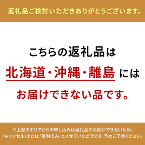 【2025年7月上旬より発送】岡山県産 シャインマスカット 晴王 400g×2房 ぶどう 葡萄 ブドウ フルーツ 果物