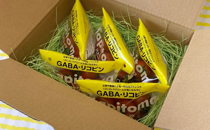 【12ヶ月定期便】機能性表示食品 Hapitoma ハピトマ 糖度6（1kg）【配送不可：離島】