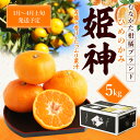 【ふるさと納税】旬のミカンをお届け！JAむなかた柑橘ブランド「姫の神」5kg 甘くておいしいみかん【2025年1月〜4月上旬発送】_HA0280 送料無料糖度・爽やかさ・ジューシー 三女神の姫神 ブランド姫神（ひめのかみ）