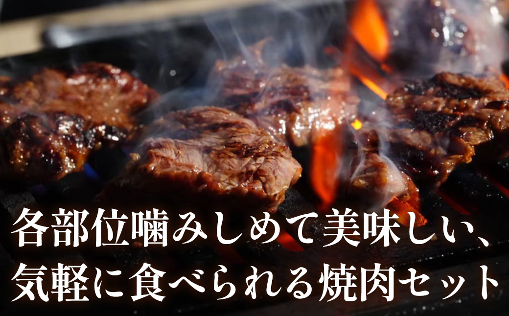 知床牛焼肉セット計約600g（カタ・モモ・バラ） OSG005