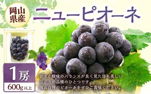 ぶどう 2026年 先行予約 ニュー ピオーネ 1房 600g以上 【2026年8月下旬～9月下旬 発送予定】 ブドウ 葡萄 岡山県産 国産 フルーツ 果物 ギフト 環山堂 くだもの お取り寄せ 贈り物 ギフト 国産