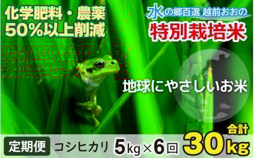 【令和7年産 新米】【6ヶ月定期便】こしひかり 5kg × 6回 計30kg【白米】減農薬・減化学肥料 「特別栽培米」－地球にやさしいお米－