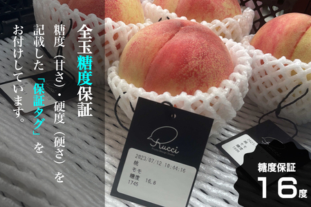 【糖度16度保証付】一宮の大玉桃 3玉 約1.1kg　全国桃選手権『銀賞』受賞桃 FN-Limited 104-067-FN | ＜数量限定＞美味しいフルーツだけをお届けします【ルッチ Rucci】産