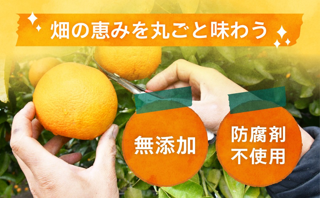 みかん ミカン オレンジ まどんな 愛果28号 みかんジュース ジュース 柑橘 添加物不使用 丸しぼり
