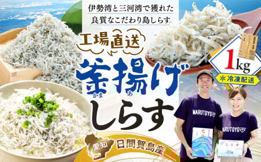 しらす1kg 釜揚げしらす 島の工場から直送 愛知県 日間賀島産 減塩 冷凍 丸豊 魚 さかな ご飯 ごはん 国産 シラス 離乳食 人気 おすすめ 愛知県 南知多町1kg 