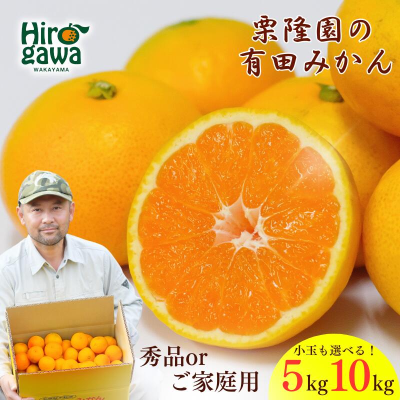 【ふるさと納税】 有田 みかん 小玉 サイズ混合 / 有田みかん 温州みかん 甘い 秀品 家庭用 和歌山 柑橘 5kg 10kg 10000円 ～ ※11月上旬～翌年3月中旬順次発送 //mandarin