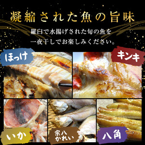知床らうす 一夜干しセット　5種｜一夜干し　北海道