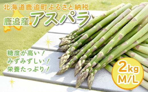 鹿追産アスパラ（2kg）M/L 【 ふるさと納税 人気 おすすめ ランキング アスパラ アスパラガス あすぱら 野菜 旬 北海道産 北海道 鹿追町 送料無料 】 SKA036