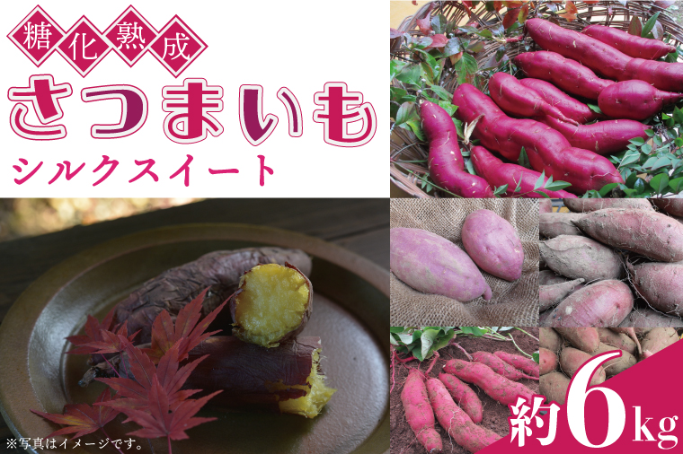 糖化熟成さつまいも(シルクスイート)　約6kg｜栃木県 益子町 ふるさと納税 里山 熟成 さつまいも シルクスイート プレミアム 蜜芋（AU001-3）