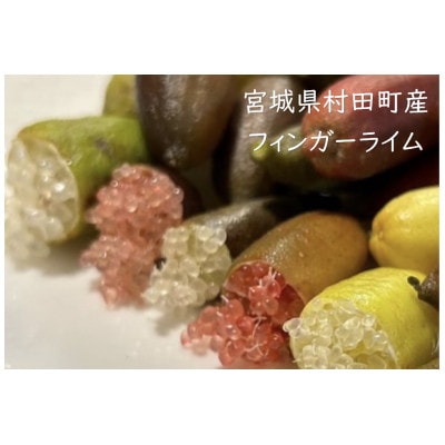 【宮城県村田町産】フィンガーライムMIX　100g×1パック【配送不可地域：離島】【1747195】