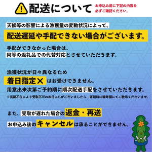  [2025年先行予約] 北海道 利尻島産 塩水生うに（バフンウニ）85g×2パック  ウニ 塩水ウニ