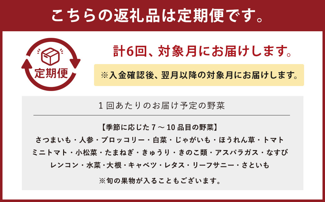 【6ヶ月定期便】生産者応援 採れたて新鮮 旬のお野菜 詰め合わせセット