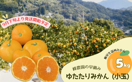 LB-4　峰農園の早摘みゆたたりみかん 小玉5kg 温州 みかん ミカン 蜜柑 温州蜜柑 温州ミカン フルーツ くだもの 果物 ミネラル豊富 太良町 国産 さがみかん 太良みかん 美味しい 多良岳山系の水 有明海の潮風 贈答用 お中元 お歳暮 産地直送 月の引力が見える町 ふるさと納税 返礼品