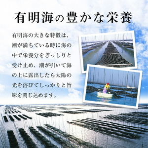 有明海産 味海苔 10切100枚 4本セット 合計400枚 【福岡有明のり】 送料無料 《30日以内に出荷予定(土日祝除く)》福岡県 鞍手町 たっぷり 親和園