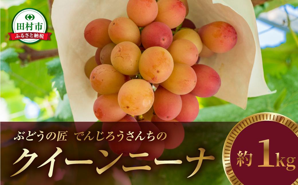 
                  【 先行予約 2026年発送 】 クイーンニーナ 1kg ブドウ ぶどう シャインマスカット 巨峰 品種 果物 甘さ 大粒 高級 種なし 美味しい ランキング おすすめ 福島県 田村市 鈴木農園 でんじろうさん
                