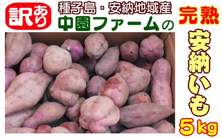 
                  < 訳あり > 種子島 安納いも 中園ファーム 安納芋  (生芋) 5kg　NFN401【200pt】
                