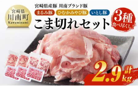 宮崎県産豚　川南ブランド豚「まるみ豚・ひむかみやび豚・いとし豚」3種食べ尽くし！こま切れセット　計2.9kg 【 宮崎県産 豚 豚肉 こま切れ 】