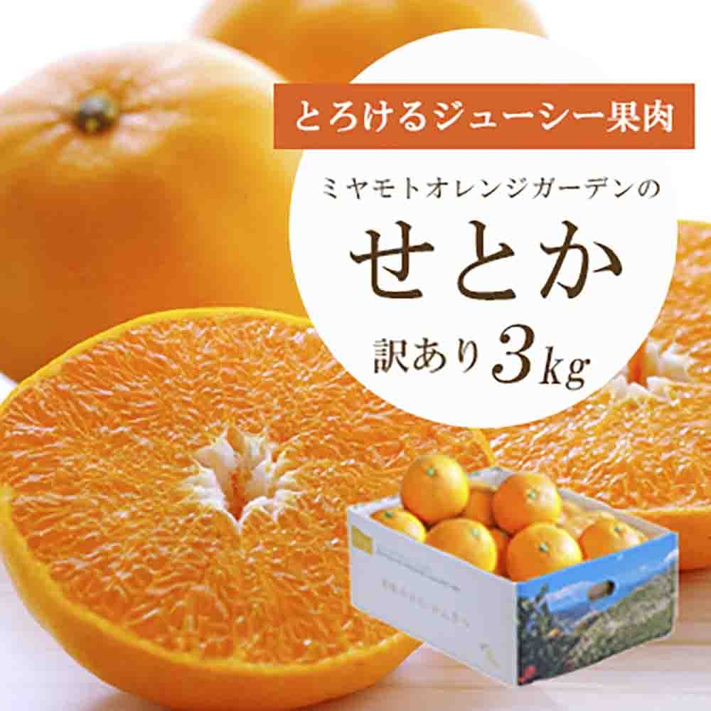 
                  とろける濃厚柑橘 せとか3kg 愛媛県八幡浜産＜訳あり＞＜E25-134＞【1128816】 YWTAP077
                
