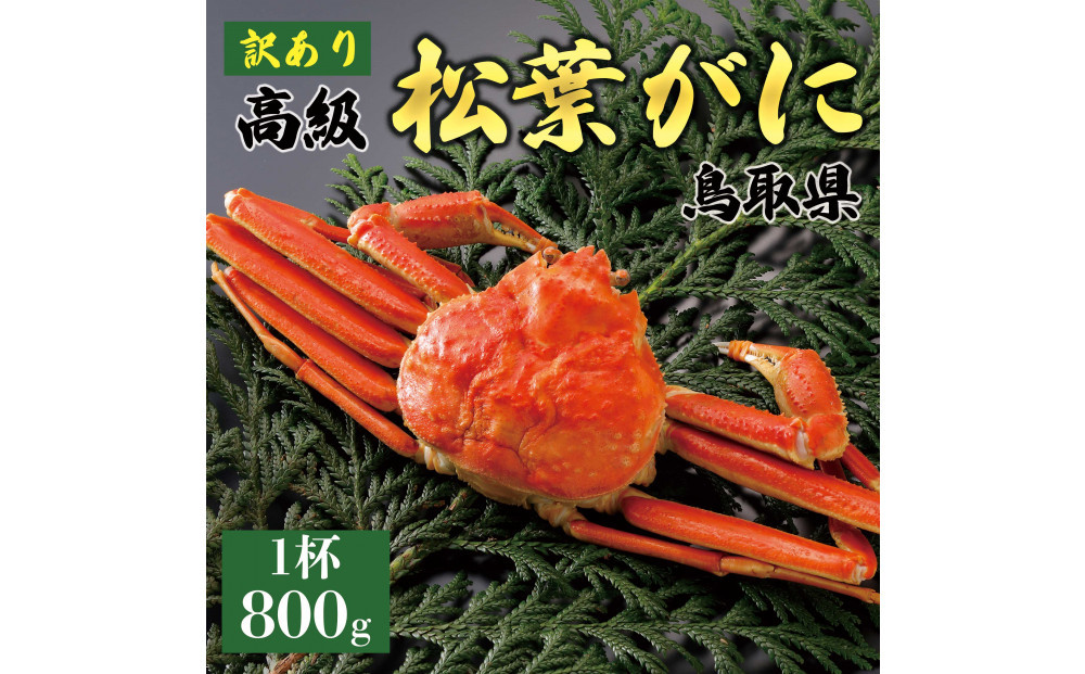 1047.【2025年11月発送】特撰 松葉がに（茹）【訳あり】800g超の大きいサイズ 食べ応えあり 特大1杯