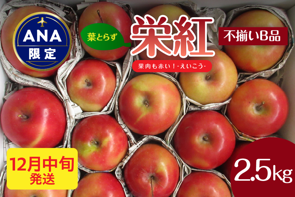 【ANA限定】中まで赤～いりんご<栄紅>【2026年12月中旬発送】 葉とらずりんご 訳あり 約2.5kg 不揃い B品 家庭用 青森県 五所川原市 りんご リンゴ
