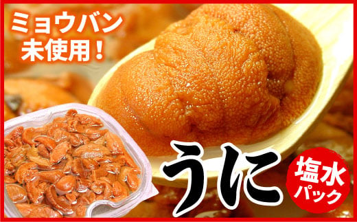 B-07018 エゾバフンウニ(赤色)塩水パック100g×1P[2026年1月下旬以降発送]