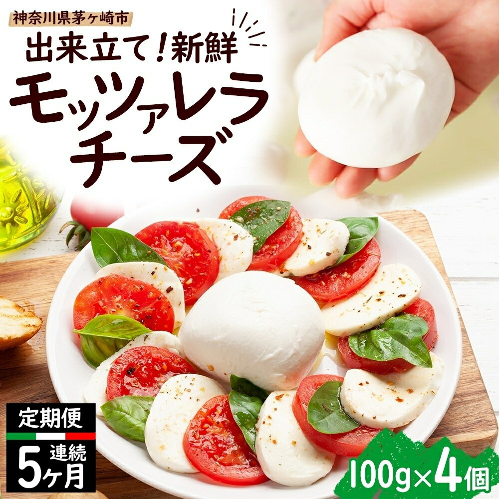【ふるさと納税】5ヶ月定期便 出来立て新鮮 モッツァレラチーズ100g × 4個セット 茅ヶ崎産 チーズ モッツァレラ 手作り Osteria e Bottega S 神奈川県 湘南 茅ヶ崎市 フレッシュチーズ　お届け：準備が出来次第順次発送（お申込日の翌月 から5ヶ月連続のお届け ）