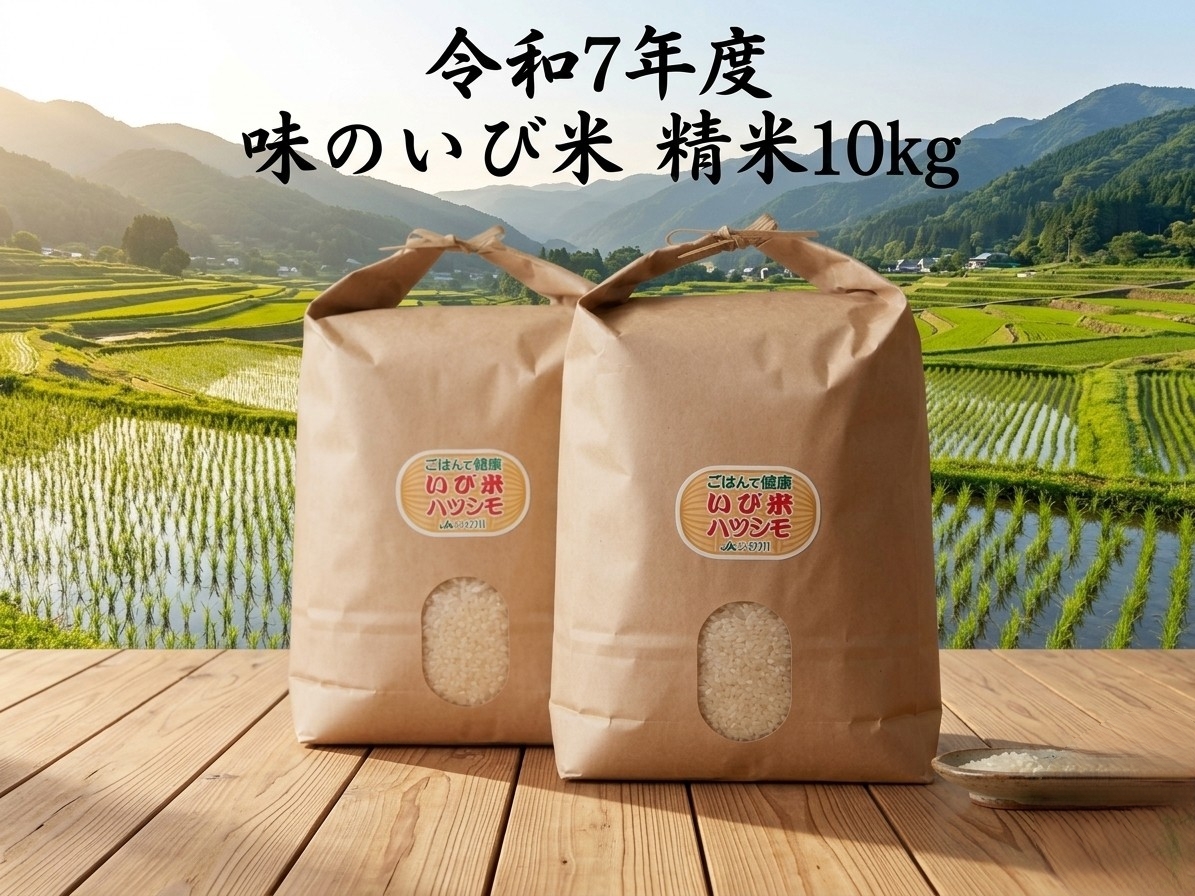 【令和7年産】岐阜県揖斐郡産 味のいび米 はつしも 精米10kg