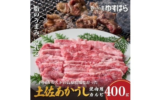 低温でも脂身がとろける土佐あかうし焼肉用カルビ　400g　牛肉 和牛 国産 BBQ オレイン酸 高知県産