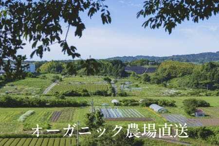 【毎月定期便】しあわせ野菜畑の有機野菜Ｌセット（安心の有機JAS認証　旬のオーガニック野菜　農場直送便）全6回　6870