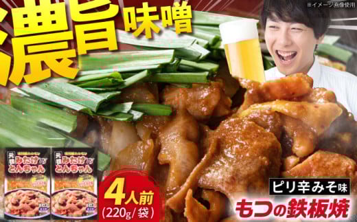 ＜年内発送＞岐阜県産豚もつの鉄板焼「みたけとんちゃん」ピリ辛みそ味×2袋（4人前） / モツ もつ 白もつ 白モツ ホルモン ほるもん 味噌 豚肉 豚ホルモン 鉄板焼き / 御嵩町 / 藤よし [AVAA005]