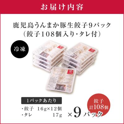ふるさと納税 鹿児島市 鹿児島うんまか豚生餃子9パック(餃子108個入り・タレ付)　K005-003_02 |  | 03