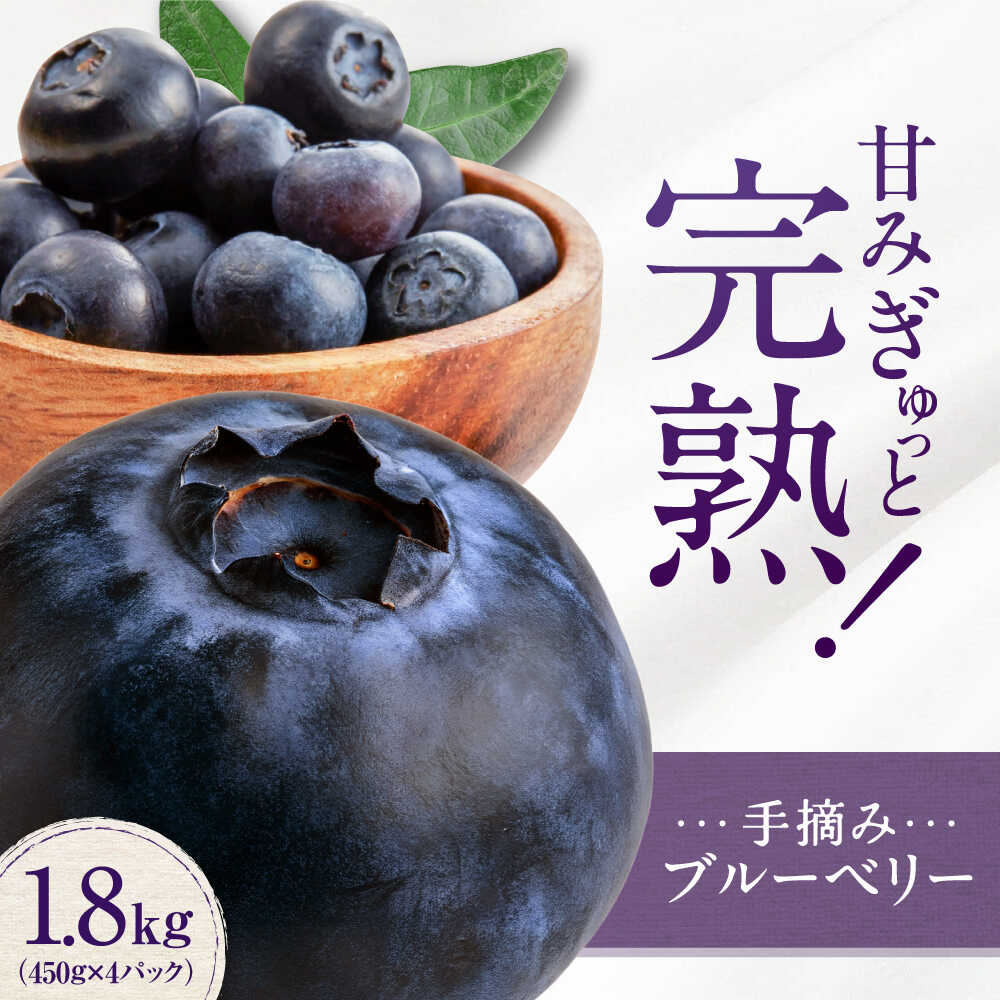 【ふるさと納税】【先行予約】手摘み ブルーベリー 詰め合わせ 450g×4パック ＜2026年7月下旬より発送＞ ／ ブルーベリー 果物 フルーツ ベリー 国産 産地直送 農家直送【周年観光農園エコファームうちこ】[BKBW001]