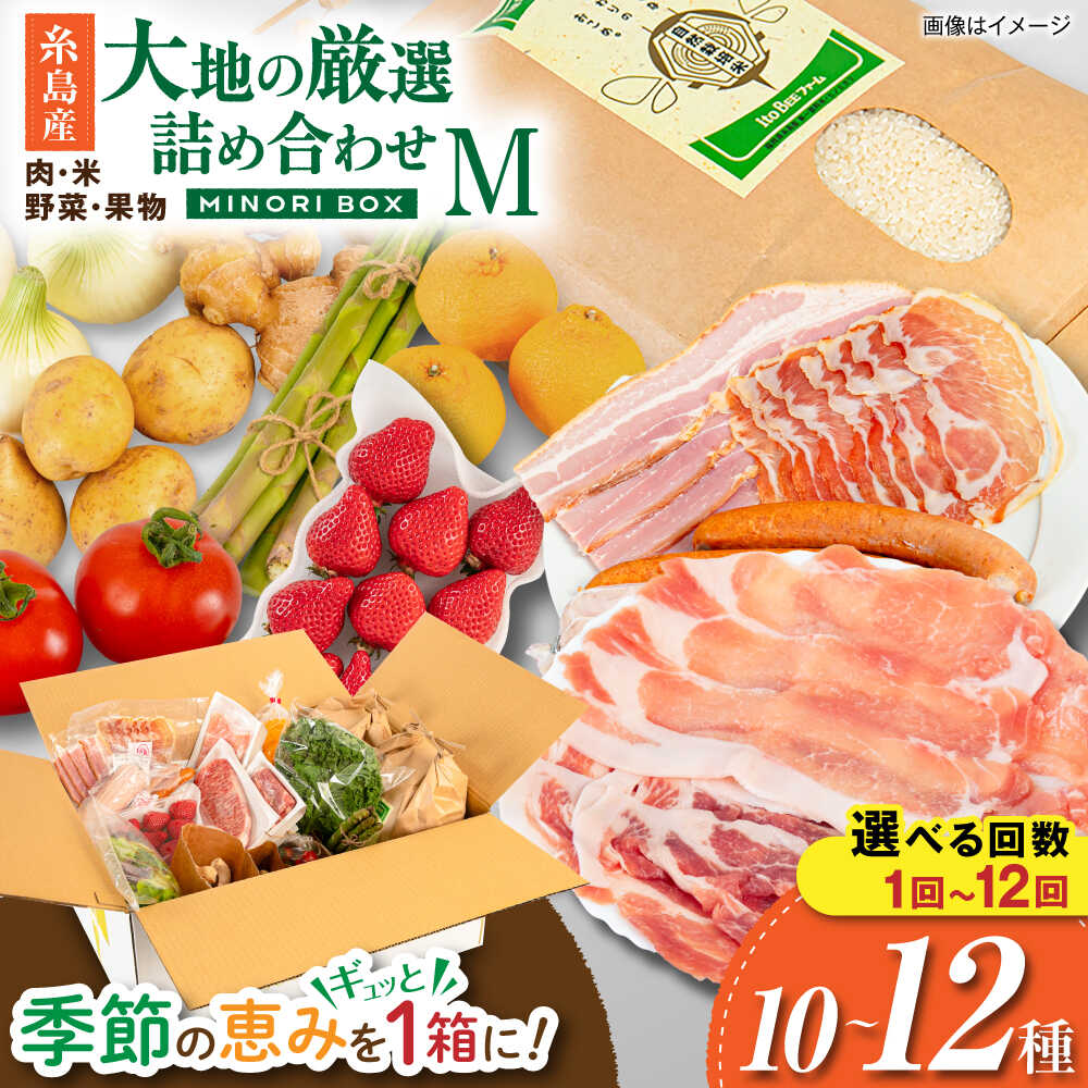 【ふるさと納税】 糸島産 肉 米 野菜 果物 厳選詰め合わせ MINORI BOX Mサイズ 糸島市 / emma.Inc / 米 肉 野菜 果物 詰め合わせ[AOP002] お届け回数選べる セット 旬