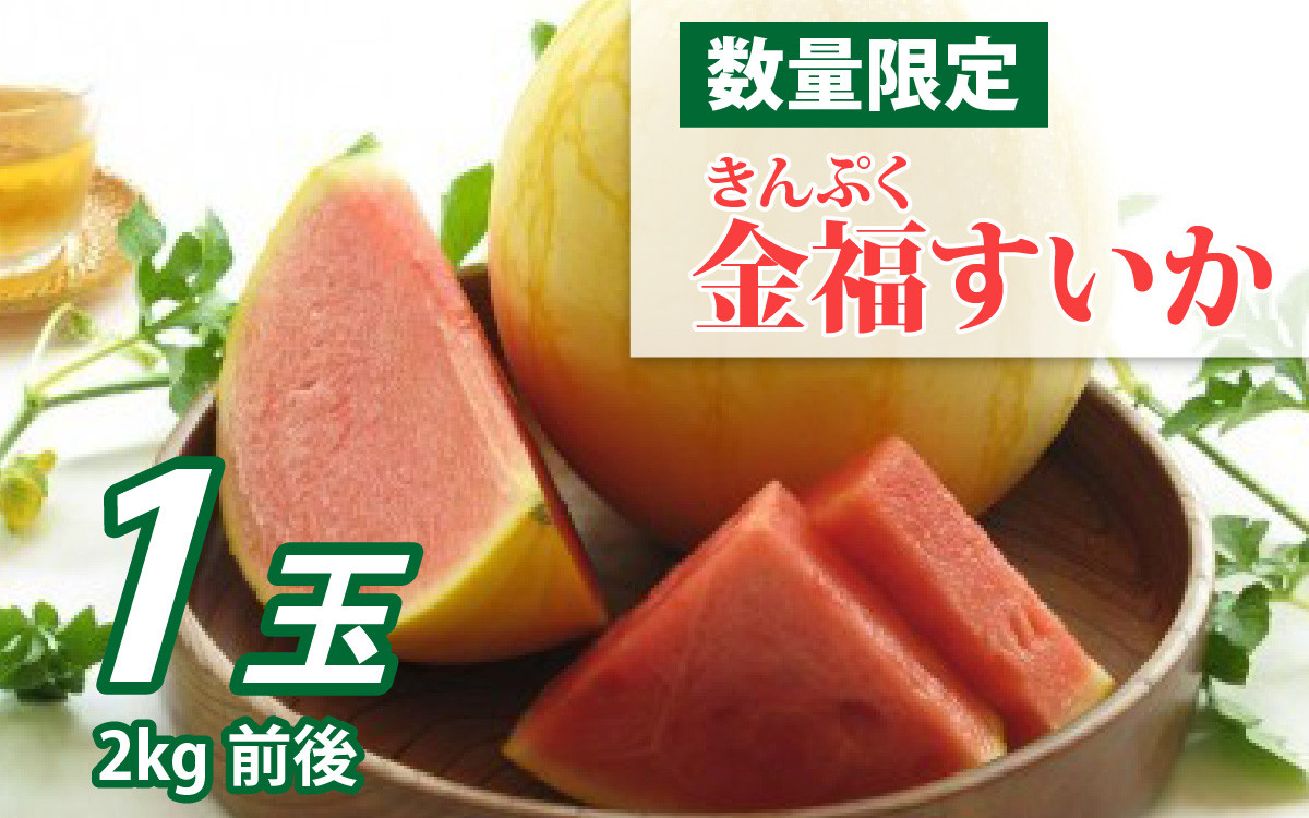 
            【先行予約】金福（きんぷく）すいか 1玉 【６月中旬発送予定】 / 2kg 小玉すいか 西瓜 スイカ 新品種 高糖度 みずみずしい 甘い 国産 福井県 福井市 送料無料 [A-022003]
          