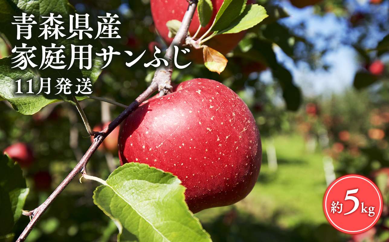  【11月発送】家庭用サンふじ5㎏【丸勝木村商店・青森りんご】