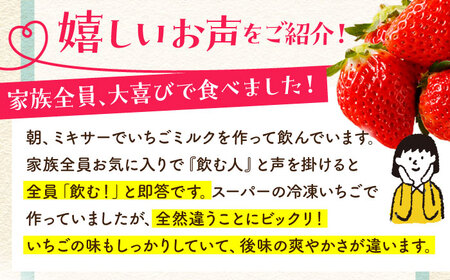 王様のいちご 摘みたてこおりいちご 4kg（冷凍いちご）いちごさん さがほのか【むらおか農園】フルーツ 果物 イチゴ [HAF004]