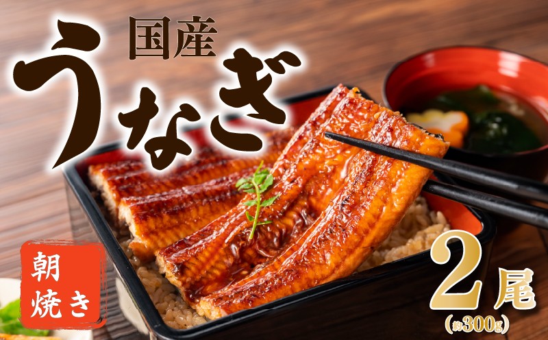 
                  【柳川 朝焼きうなぎ】 2尾入 約150g×2 合計約300g タレ・山椒3袋 うなぎ 国産 長蒲焼 2尾 国産 うなぎ 鰻 ウナギ 蒲焼き 蒲焼 かばやき 魚 魚介 魚貝 海鮮 うな重 ひつまぶし 蒲焼 訳あり ギフト 人気 おすすめ 福岡県 柳川市
                