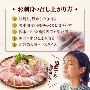 【お楽しみ 定期便】延岡産活〆鮮魚 豪華 お刺身 12ヶ月 定期便 鮮魚 延岡産 刺身 ヒラメ 真鯛 カンパチ 季節 魚 ブリ ハマチ 国産 昆布〆 おつまみ カルパッチョ 鮮魚 魚介類 食品 冷蔵 