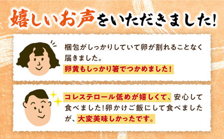 【黄身がつかめる最高級の卵】かきやまの「地養卵」 Lサイズ 40個＜垣山養鶏園＞ [CBB001]