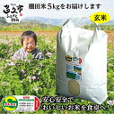 【ふるさと納税】【 令和6年産 新米 】 5kg 玄米 夢しずく 農薬・化学肥料不使用 「 しょうちゃんの 棚田米 」 5kg モチモチ食感と優しい甘み 玄米 特A 受賞 化学肥料不使用 オーガニック 棚田 米 コメ お米 おこめ 5キロ 5 b-94