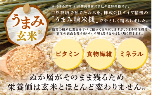 【先行予約】【令和8年産】定期便 ≪6ヶ月連続お届け≫ 伊与衛門農園の自然栽培米 コシヒカリ 自然栽培米コシヒカリ うまみ玄米 5kg×6回（計30kg）＜温度と湿度を常時管理し新鮮米を出荷！＞ 米 