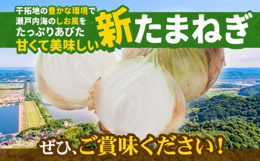 【先行予約】しお風新たまねぎ 約5kg《5月中旬-6月上旬頃出荷》 玉ねぎ たまねぎ 野菜 青果物 岡山県 笠岡市 玉ねぎ 10000円以下 10000円以内
