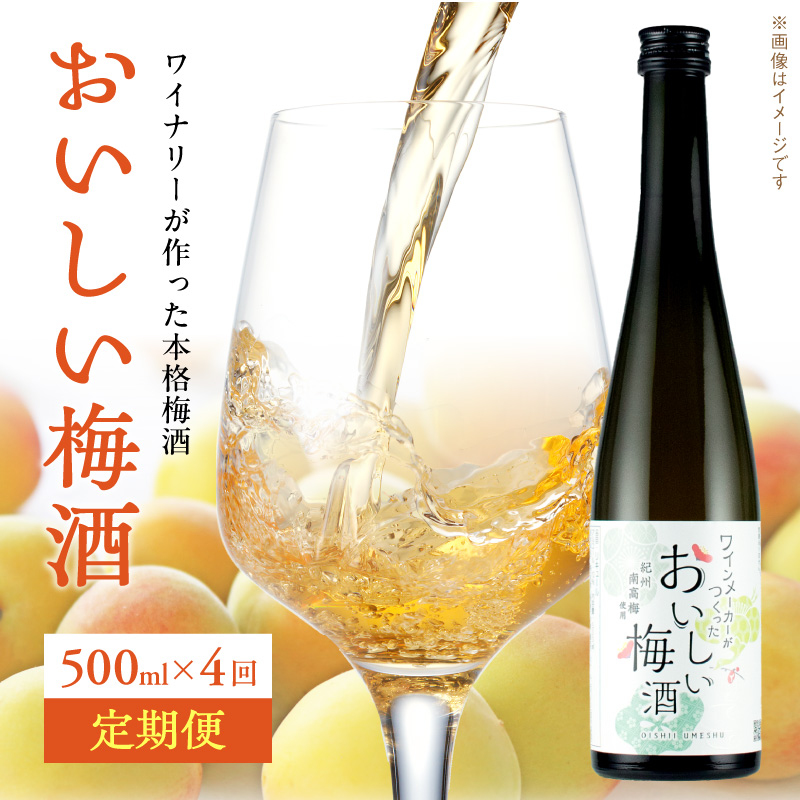 おいしい梅酒定期便【全4回】_EM60-T01