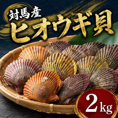 ふるさと納税 対馬市 対馬の2枚貝ヒオウギ貝